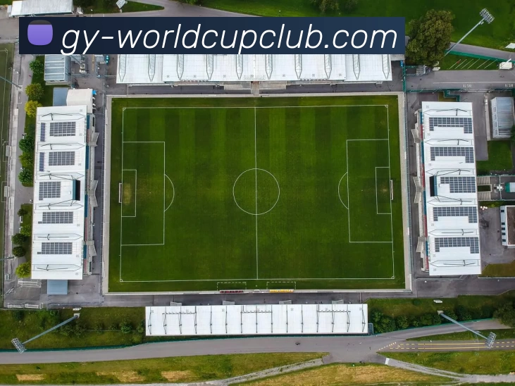 多媒体互动体验