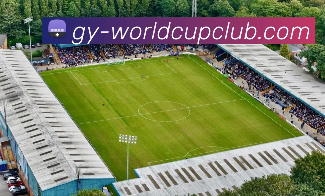 世俱杯指定买球APP 高清赛事图